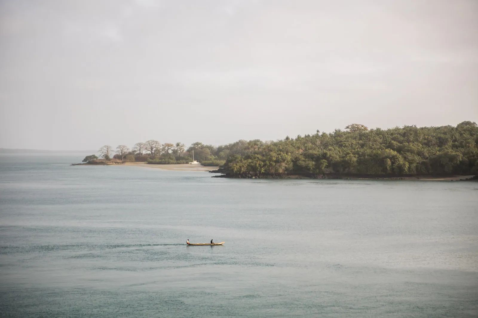 Embarcation devant la rive boisée lors d’une excursion dans les Bijagos