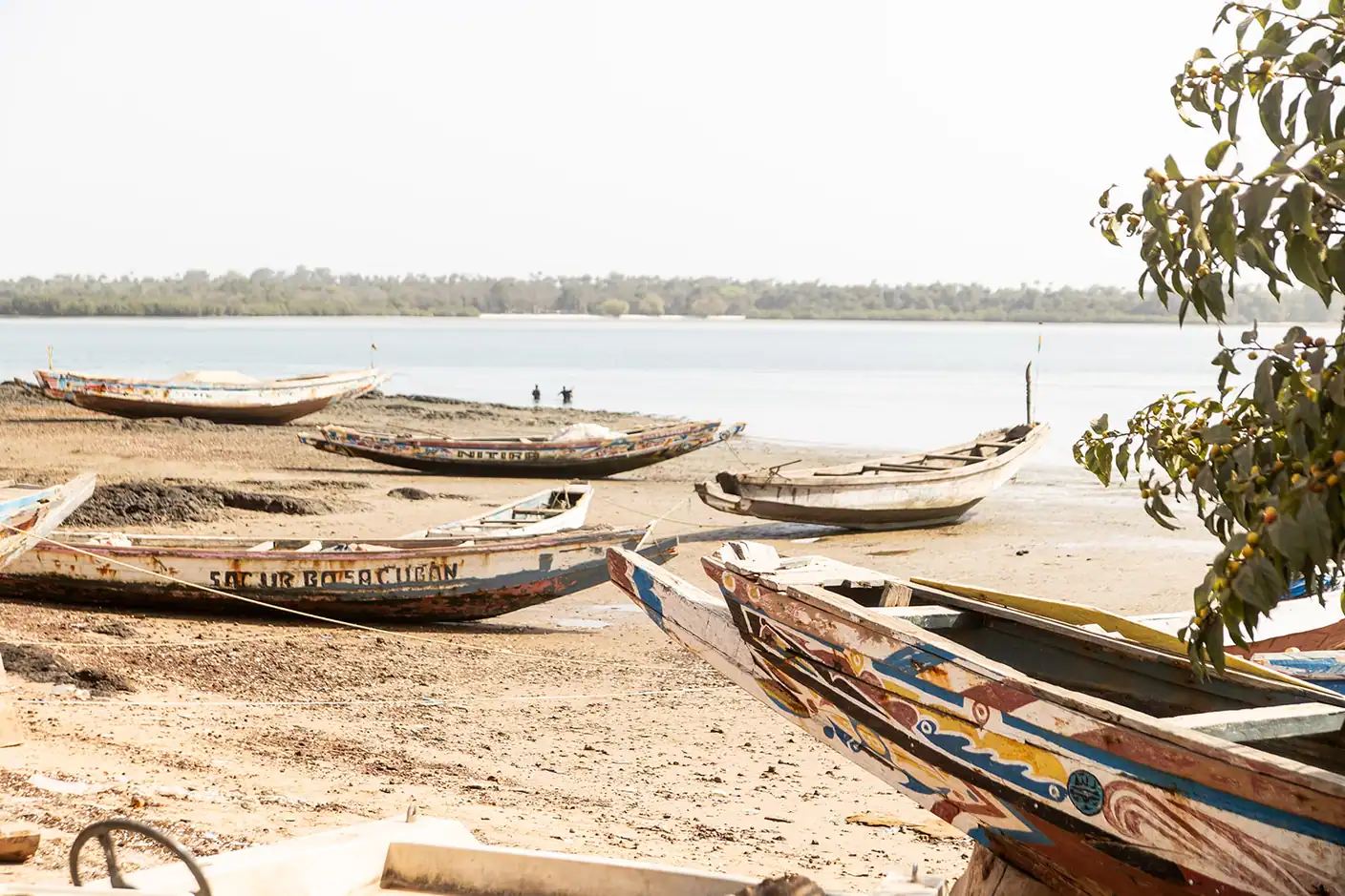 Pirogues colorées échouées sur le sable