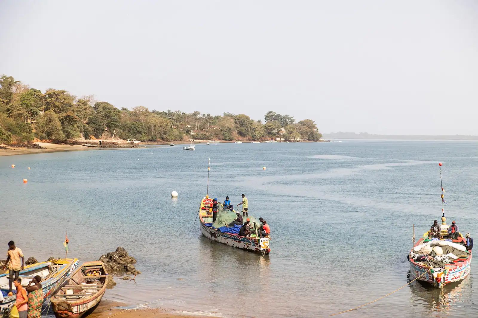 Pirogues sur l’eau au pied de la rive boisée